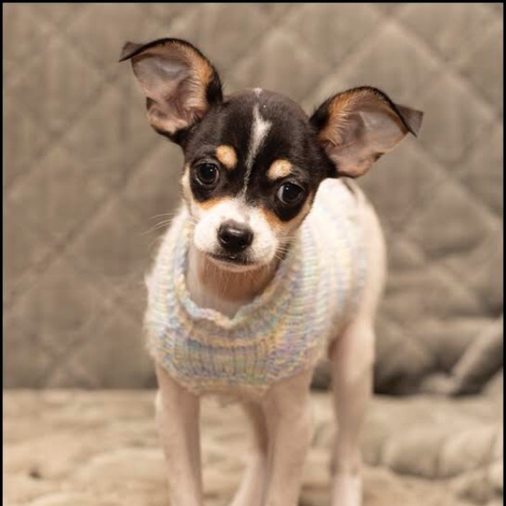 Meet your Posher, Sabrina